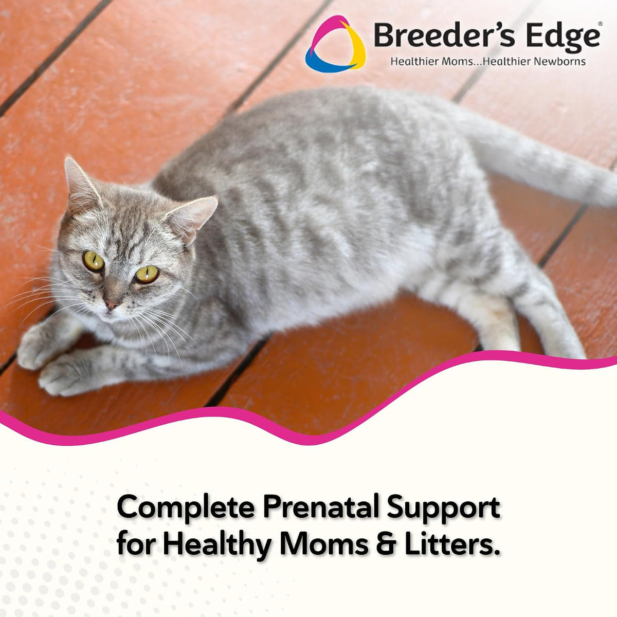 Breeder's Edge Oxy Mate Prenatal Supplements for Dogs & Cats, 60 Soft Chews - görsel 2