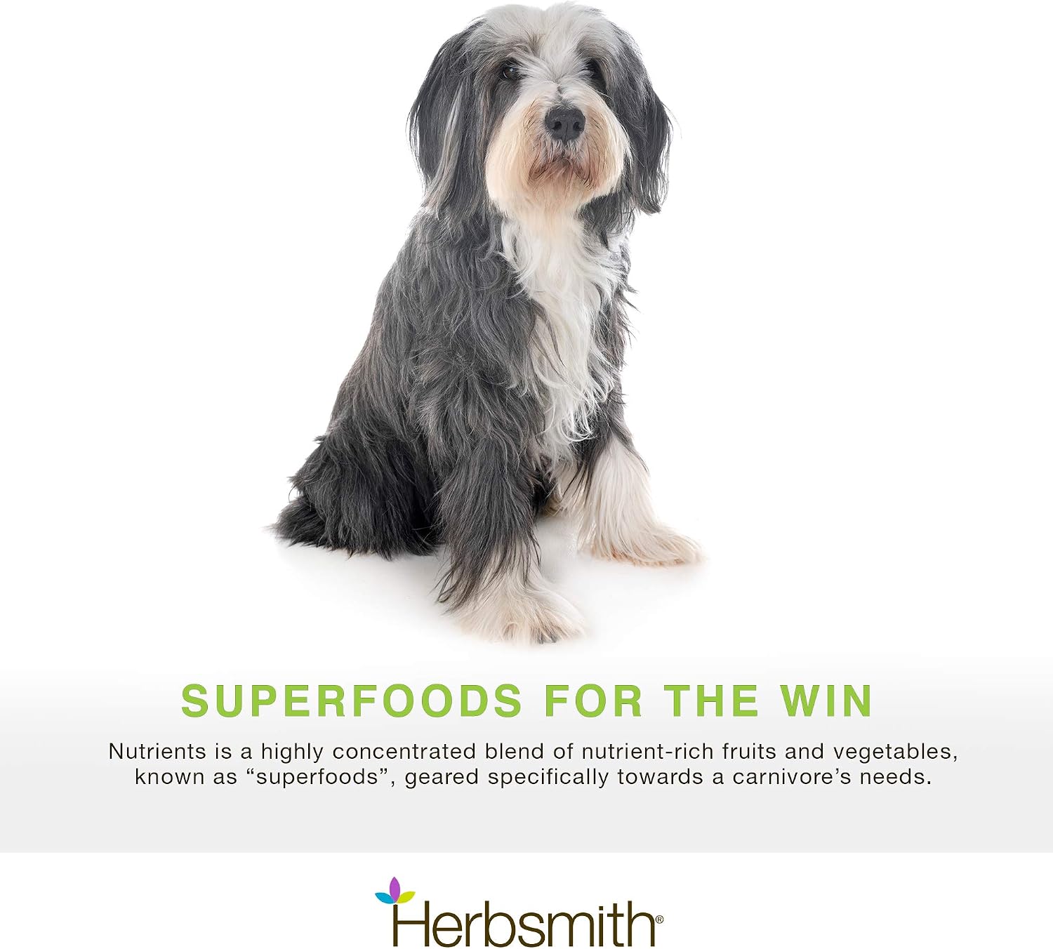 Herbsmith Nutrients Superfood Dog Multivitamin - 6.5 oz - görsel 2