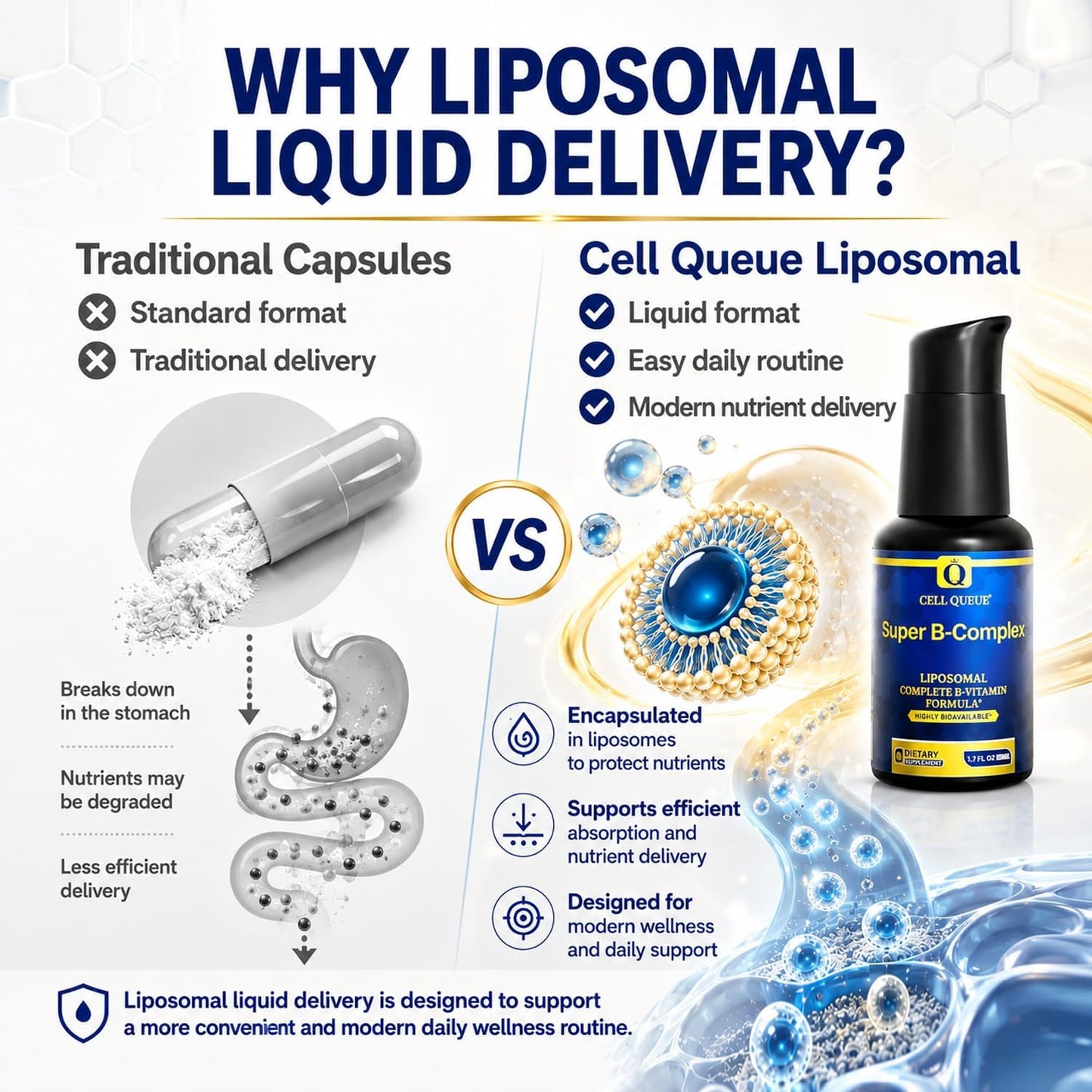 Cellqueue Liposomal Methyl B Complex Liquid – Active B Vitamin Formula with Methyl B12, Folate, TMG and Milk Thistle, 50 ml - görsel 3