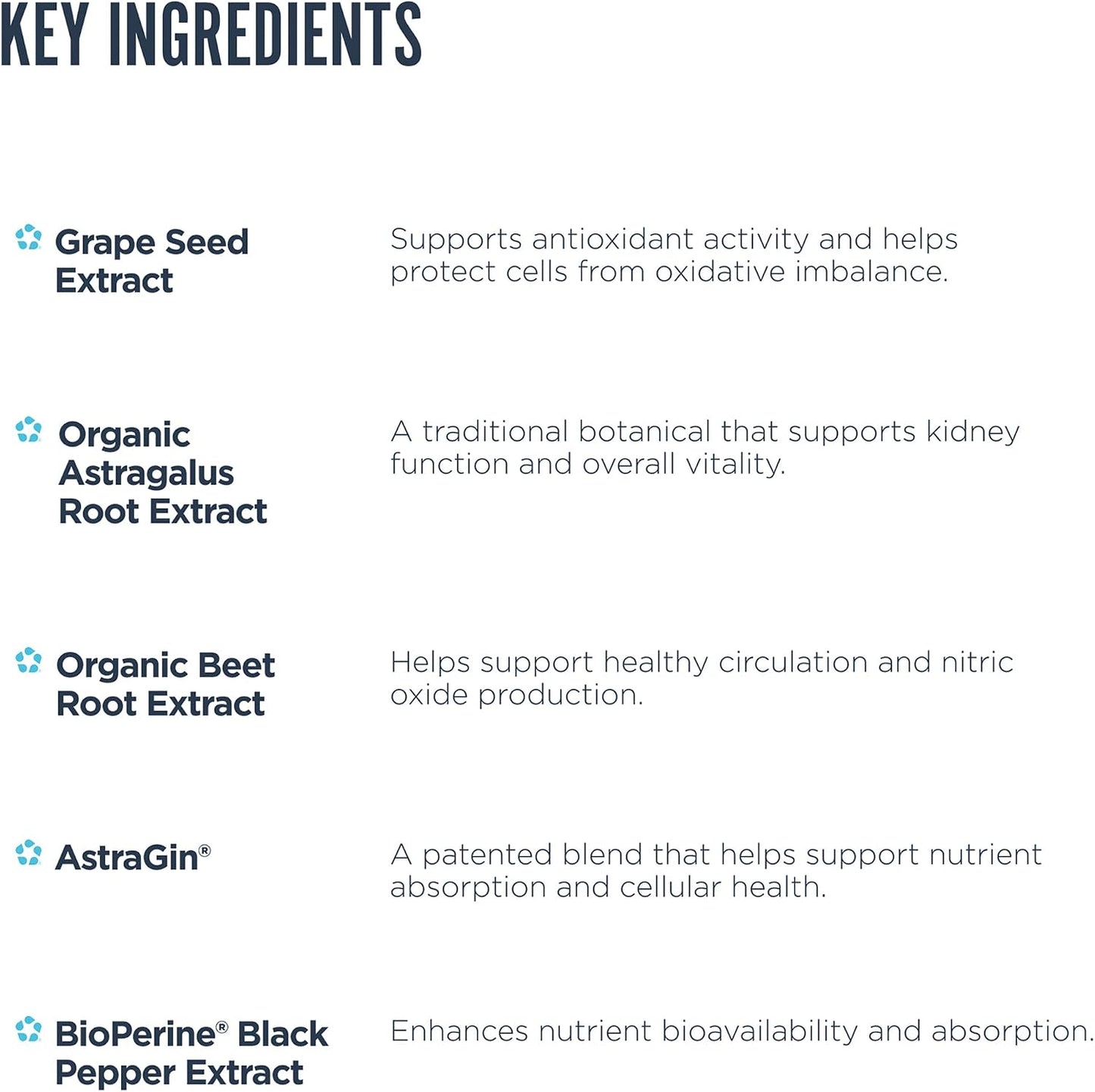 Revive MD Kidney Support Food Supplement – Kidney Cleanse & Detox Capsules for Overall Health & Function – Vegan Friendly, Gluten-Free & Soya-Free (135 Vegetarian Capsules, 45 Servings) - görsel 4