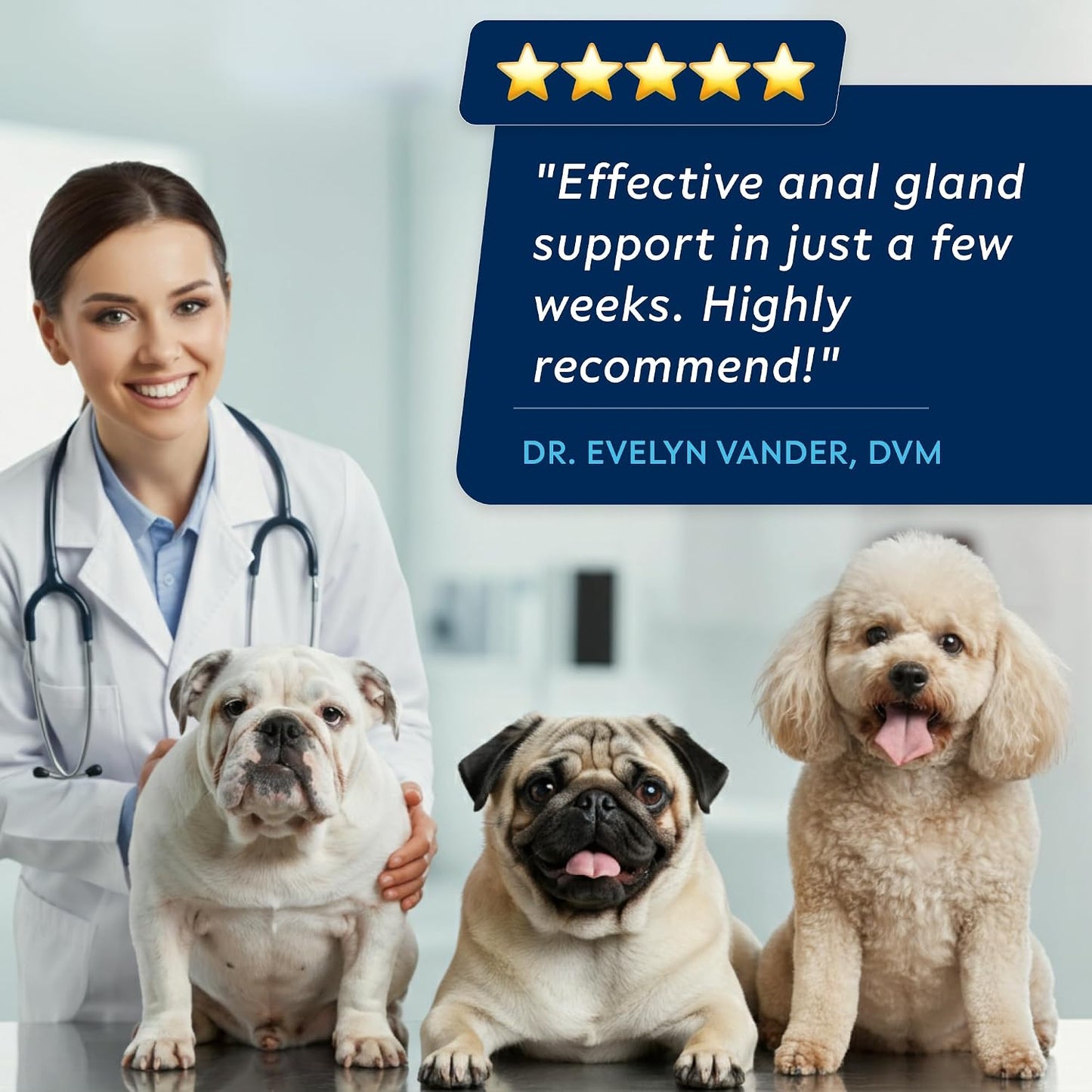 STRELLALAB Anal Gland Support Chews - Scooting Support - Digestive Enzymes, Prebiotics & Fibre Supplement for Dogs 120 Chews - görsel 6