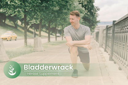 PURE ORIGINAL INGREDIENTS Bladderwrack Food Supplement (100 Capsules)