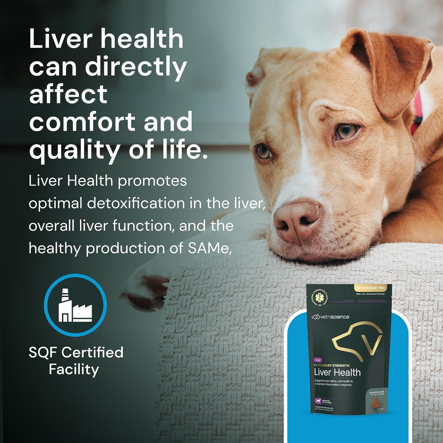 VetriScience Veterinary Strength Liver Health Chews - 60 Chews - görsel 7