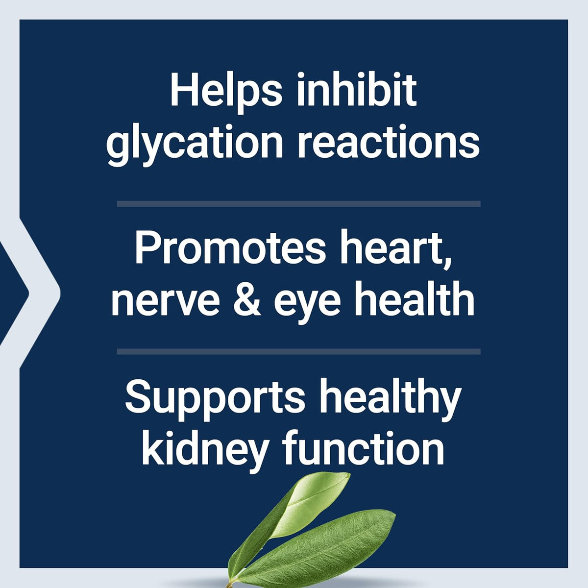 Life Extension Vitamin B6, 100 mg, High Potency - görsel 3
