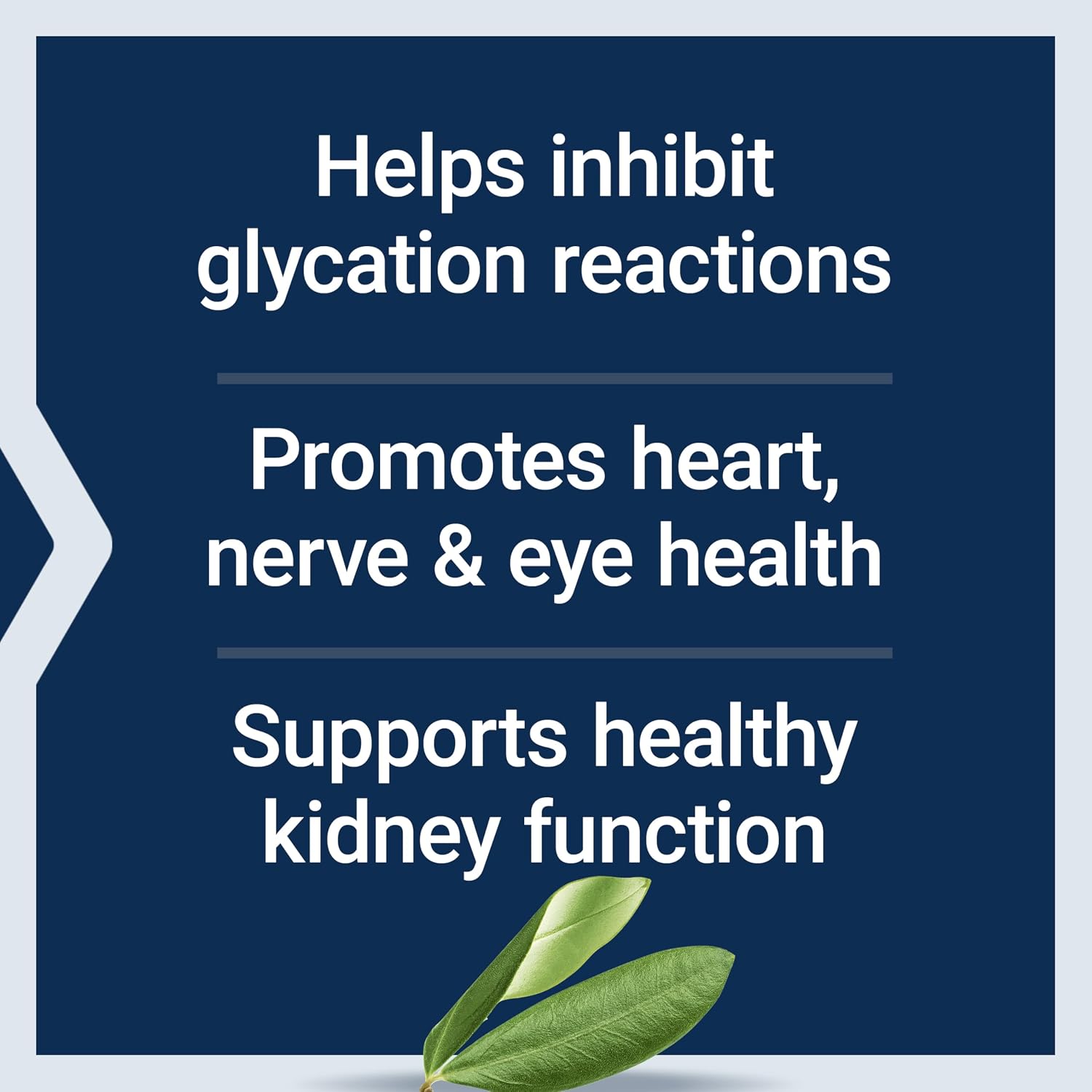 Life Extension Vitamin B6, 100 mg, High Potency - görsel 3