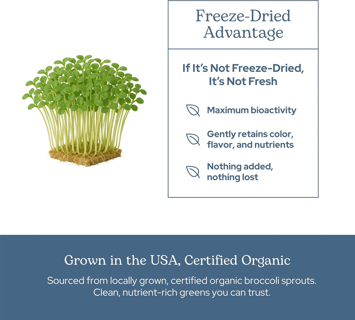 Organic Broccoli Sprouts – Freeze-Dried Superfood, 100 Capsules - görsel 5