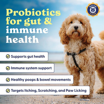 Origin Labs Belly Buddies Probiotics for Dogs - Prebiotics & Probiotics - 5 Billion CFU - Natural Bacon Flavour, 90 Soft Chews