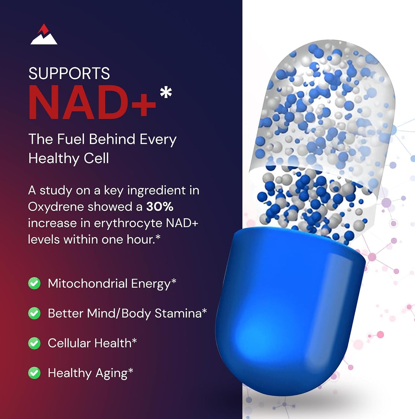 Novex Biotech Oxydrene NAD+ Enhancer - Natural Supplement for Metabolism and Cardiovascular Support (60 Capsules) - görsel 4