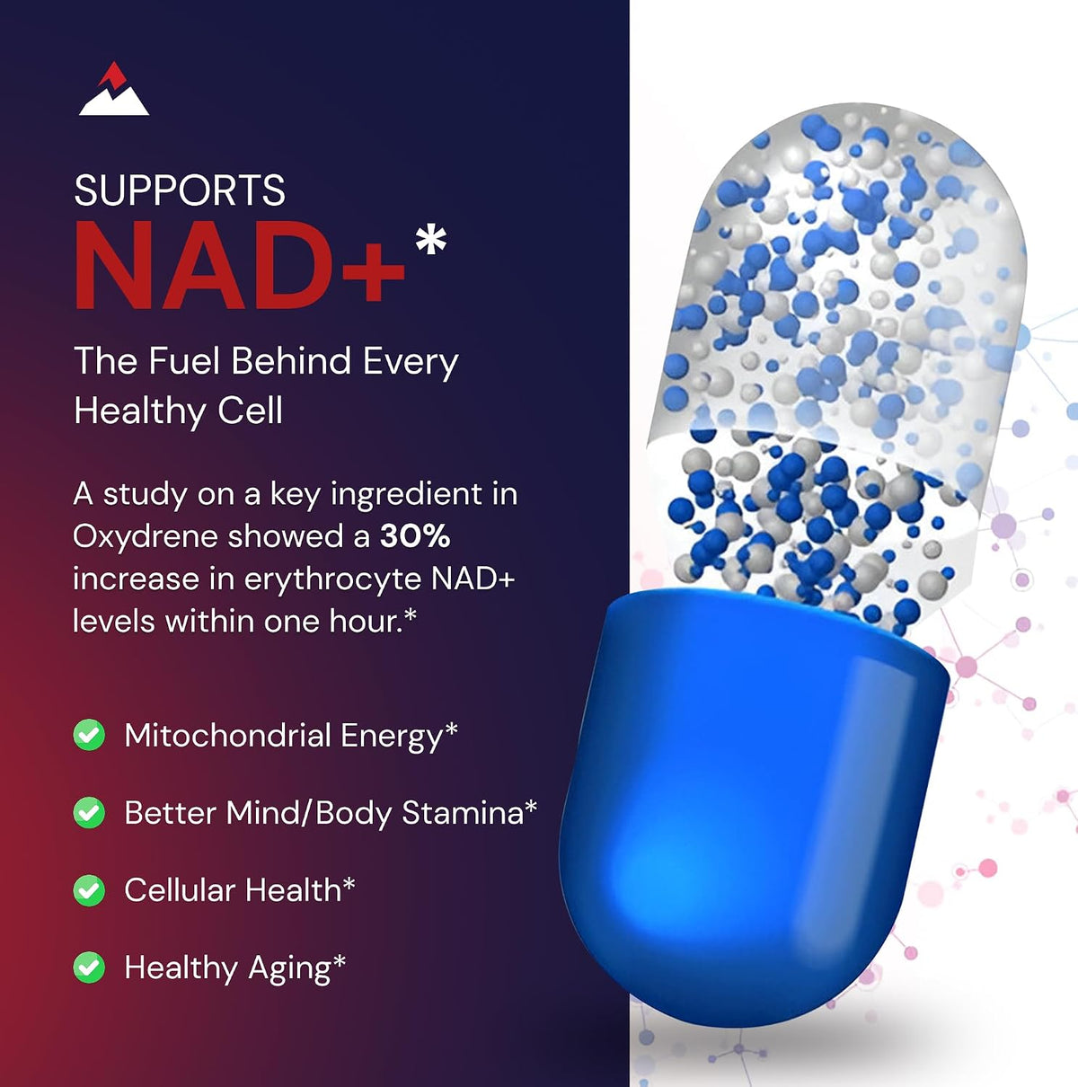 Novex Biotech Oxydrene NAD+ Enhancer - Natural Supplement for Metabolism and Cardiovascular Support (60 Capsules) - görsel 4