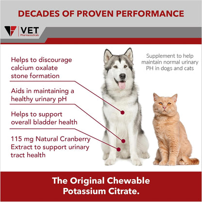 K-CIT-V Plus Cranberry 300 gm Granules for Dogs and Cats