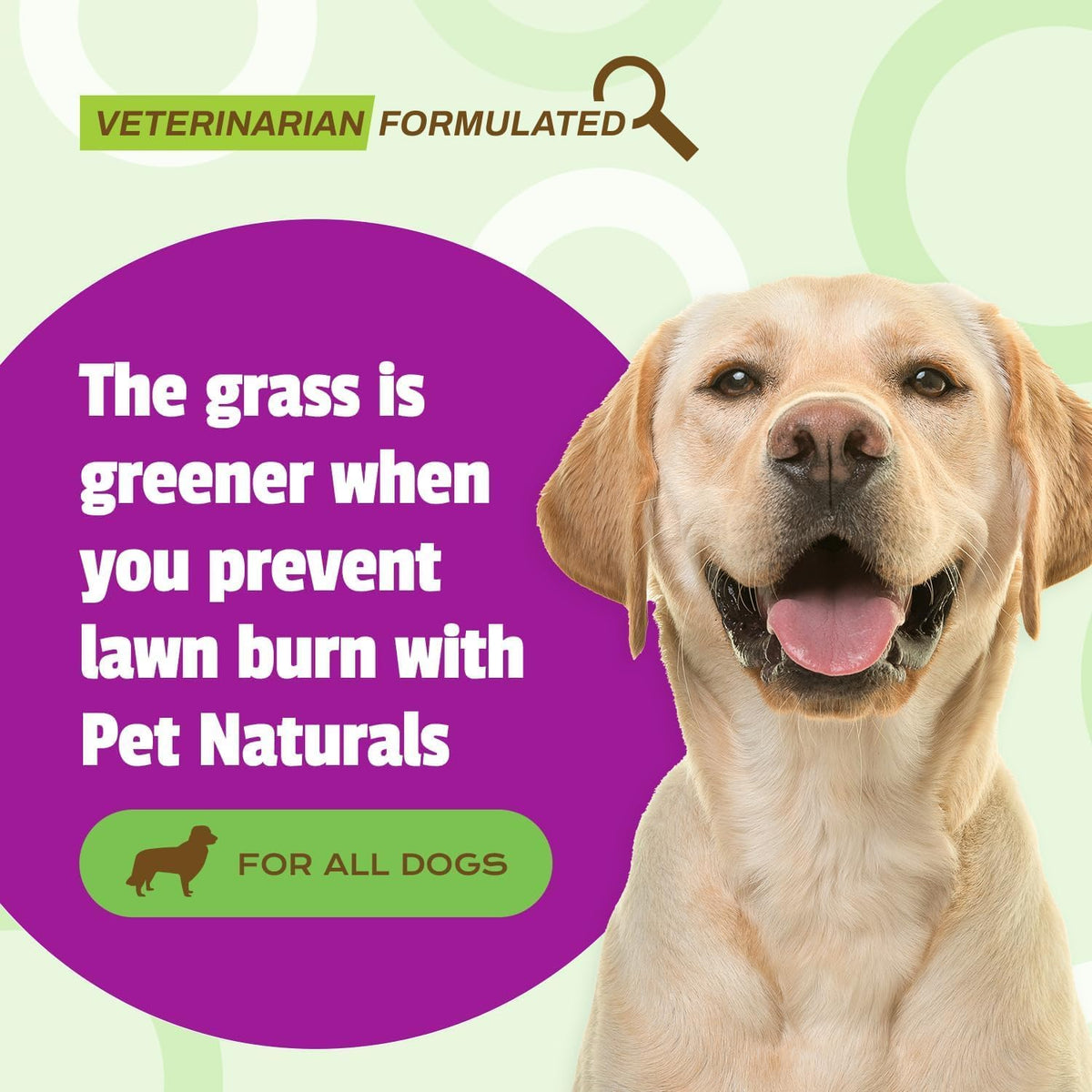 Pet Naturals Lawn Aid Soft Chews for Dogs – Chicken Flavour – 60 Count - görsel 2