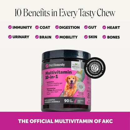 10-in-1 Dog Multivitamin Supplement with Glucosamine & Probiotics – Hip & Joint Support, Digestive Health, Immune Support – Peanut Butter Flavour, 90 Chews