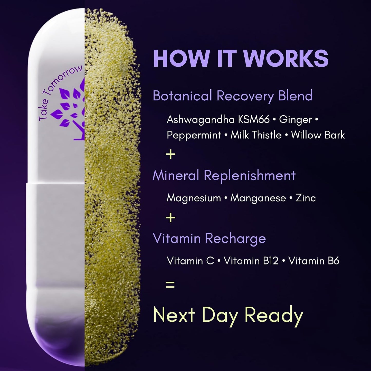 Purple Tree Next Day – Morning Post-Drink Wellness Supplement | Ashwagandha KSM-66, Milk Thistle, Ginger, Peppermint, Electrolytes & Vitamins | 90 Capsules - görsel 3