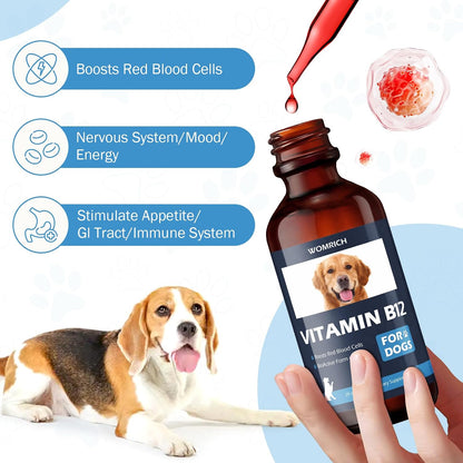 Appetite Stimulant Vitamin B12 for Dogs | Methylcobalamin (Methyl B12) | Supports Red Blood Cell Formation, Energy, Nervous System | 60 ml