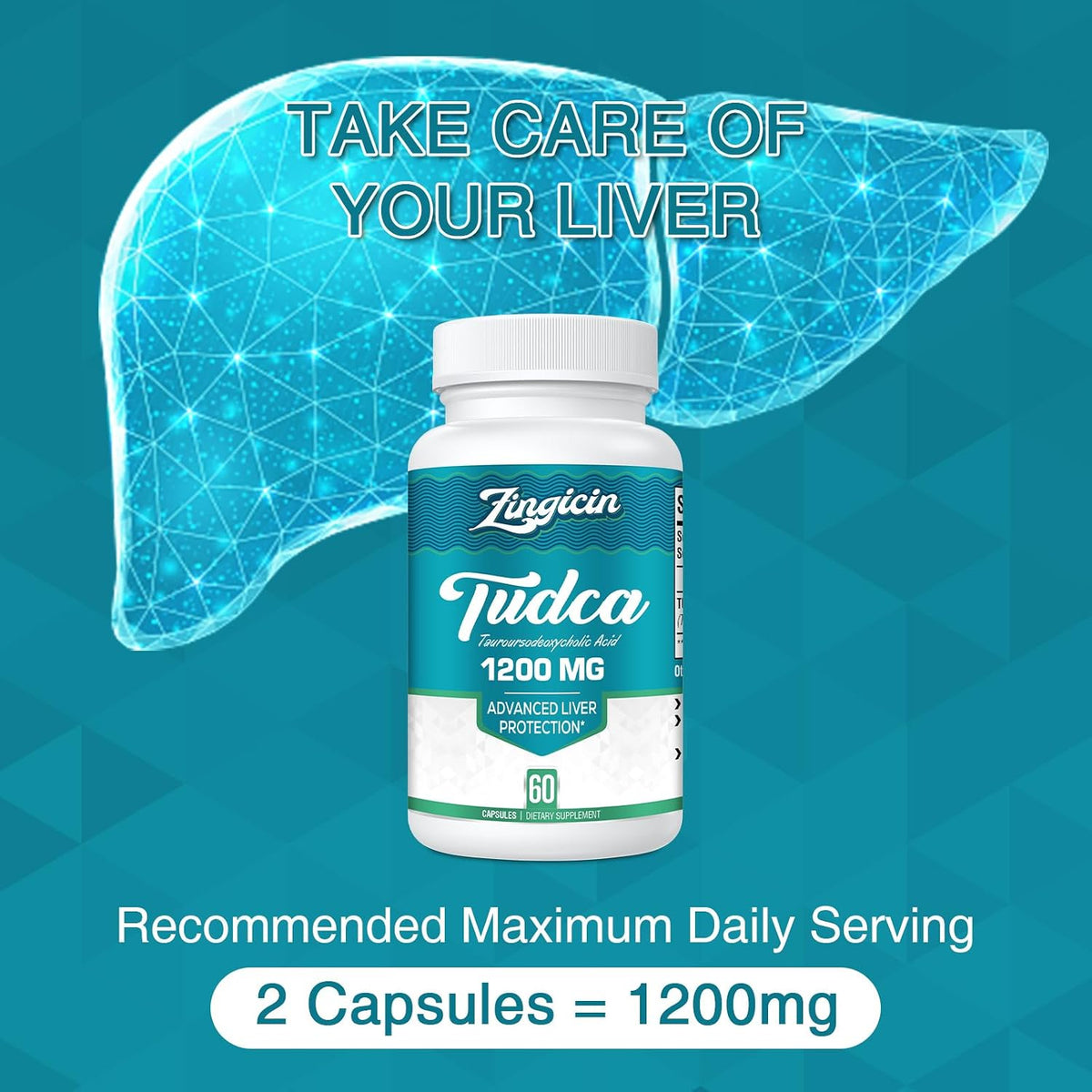Zingicin TUDCA Supplement 1200mg - 60 Veggie Capsules - görsel 3