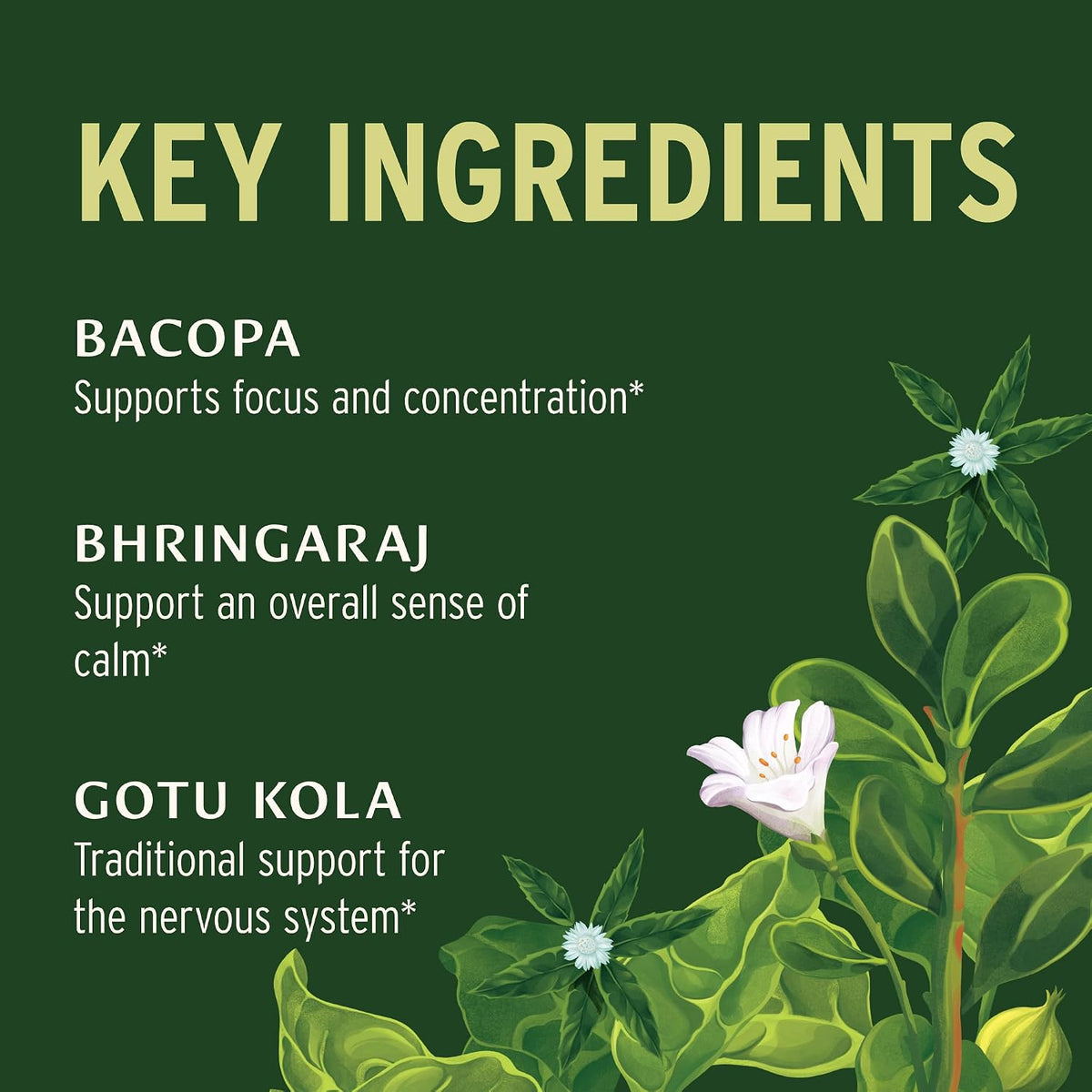Banyan Botanicals Organic Mental Clarity – Herbal Support for Alertness and Focus – 90 Tablets - görsel 5