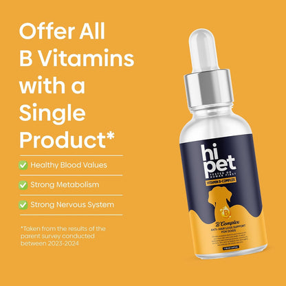 HiPet Vitamin B Complex for Dogs, Supports Metabolism and Increases Energy Levels, 50ml (Pack of 6)