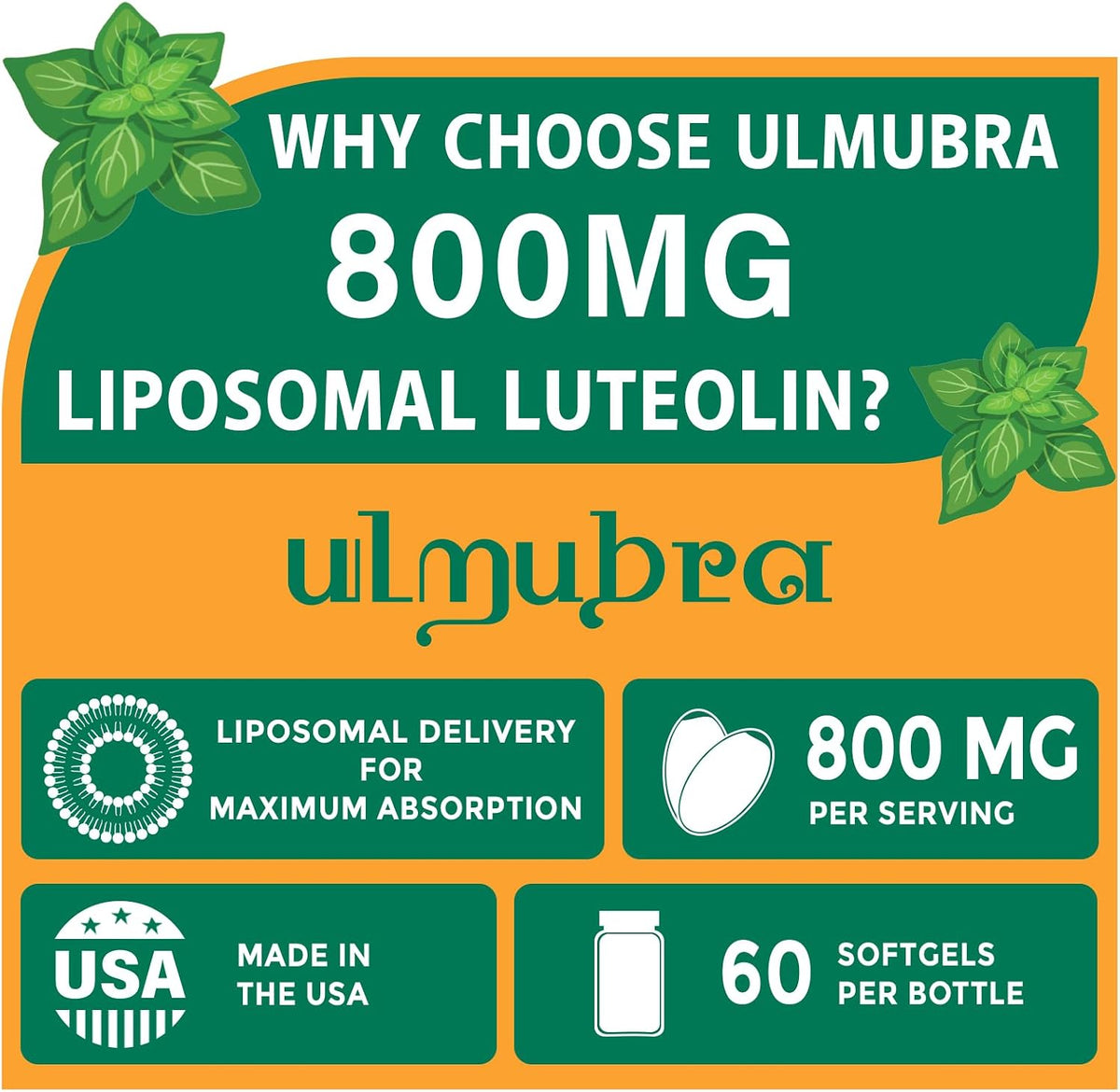 Ulmubra 800 MG Liposomal Luteolin Food Supplement - Enhanced Absorption, Premium Antioxidant for Brain & Overall Wellbeing, 60 Softgels - 30-Day Supply - görsel 2