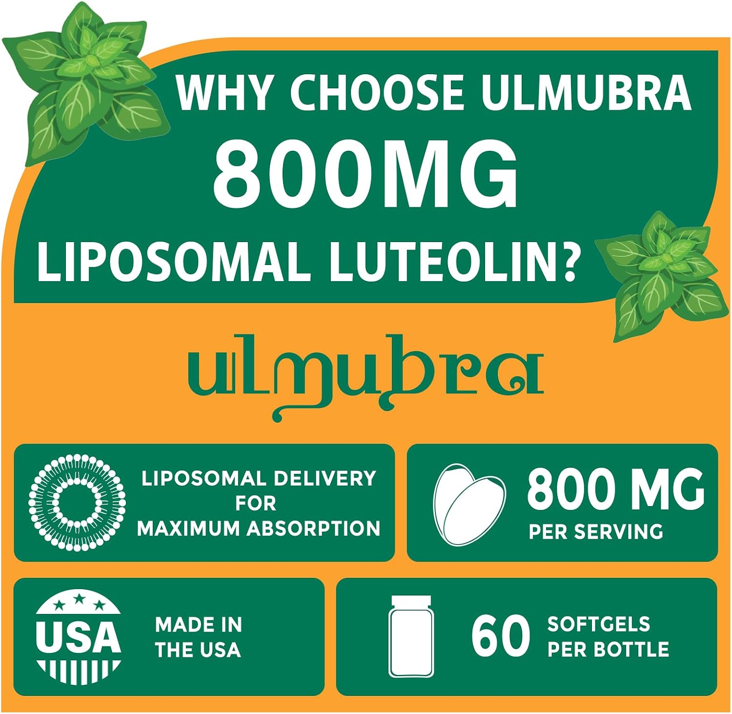 Ulmubra Liposomal Luteolin 800mg – Enhanced Absorption Antioxidant Supplement, 60 Softgels (30-Day Supply) - görsel 2