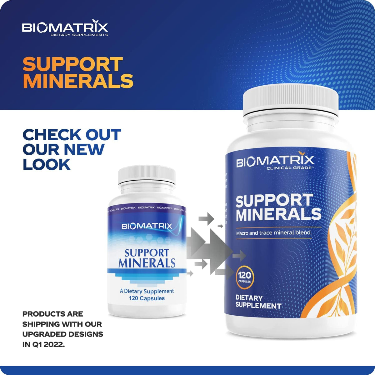 BioMatrix Chelated Mineral Supplement – Iron-Free, Calcium, Magnesium, Zinc, Vitamin D3, Copper & Iodine – Vegetarian Capsules, 30-Day Supply - görsel 5