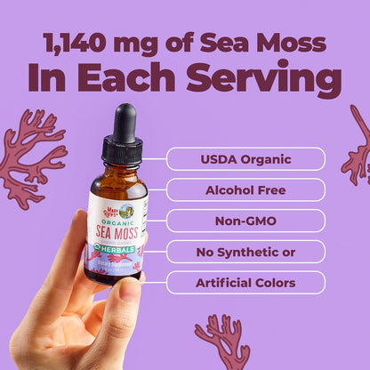 MARYRUTH'S Organic Irish Sea Moss Liquid Drops | Chondrus Crispus | Wild Harvested | Organic Irish Moss Formulated for Adults & Kids Ages 14+ | Unflavoured | Sugar Free | Vegan | Non-GMO | 30 ml