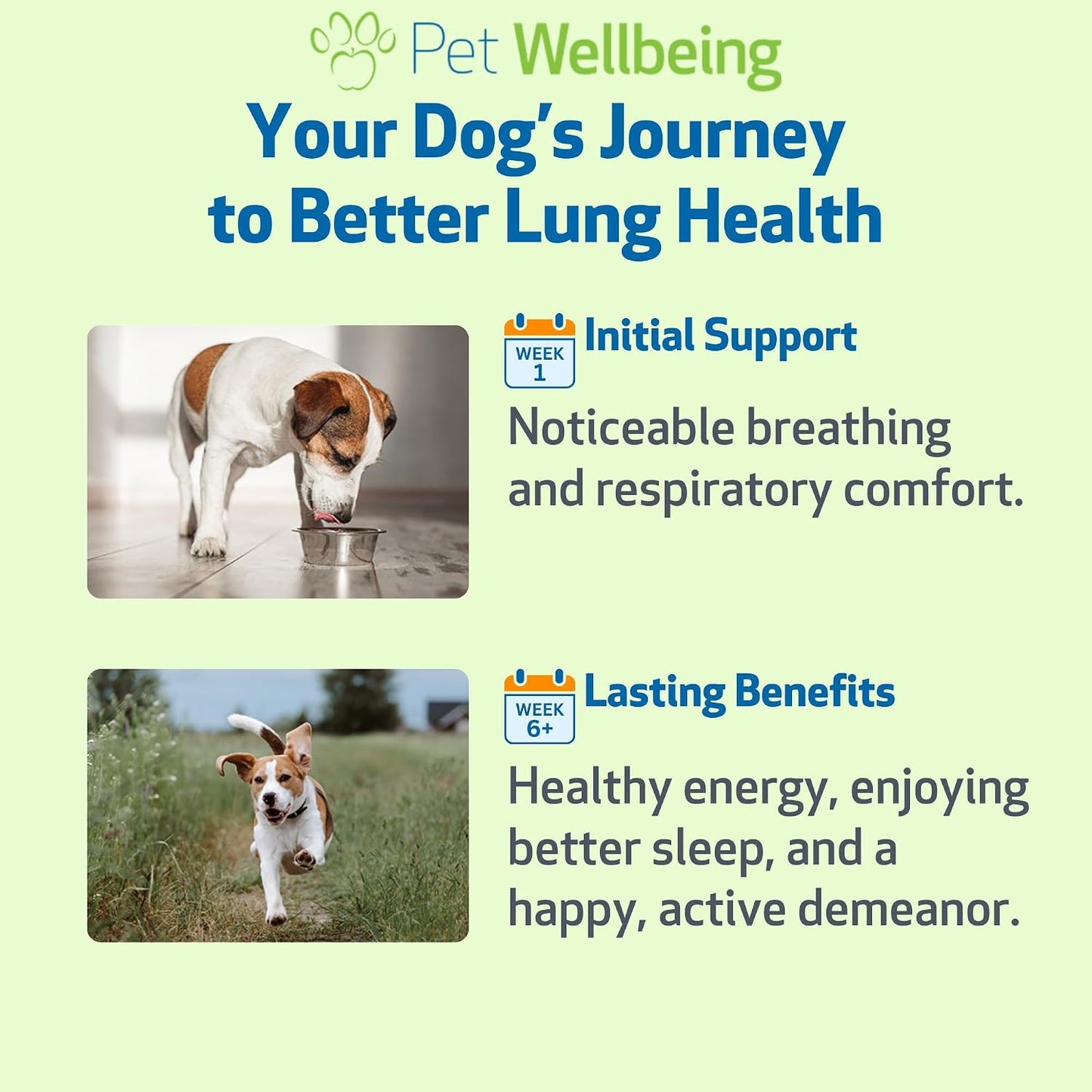 Pet Wellbeing Lung Gold for Dogs – 59 ml Liquid - görsel 9