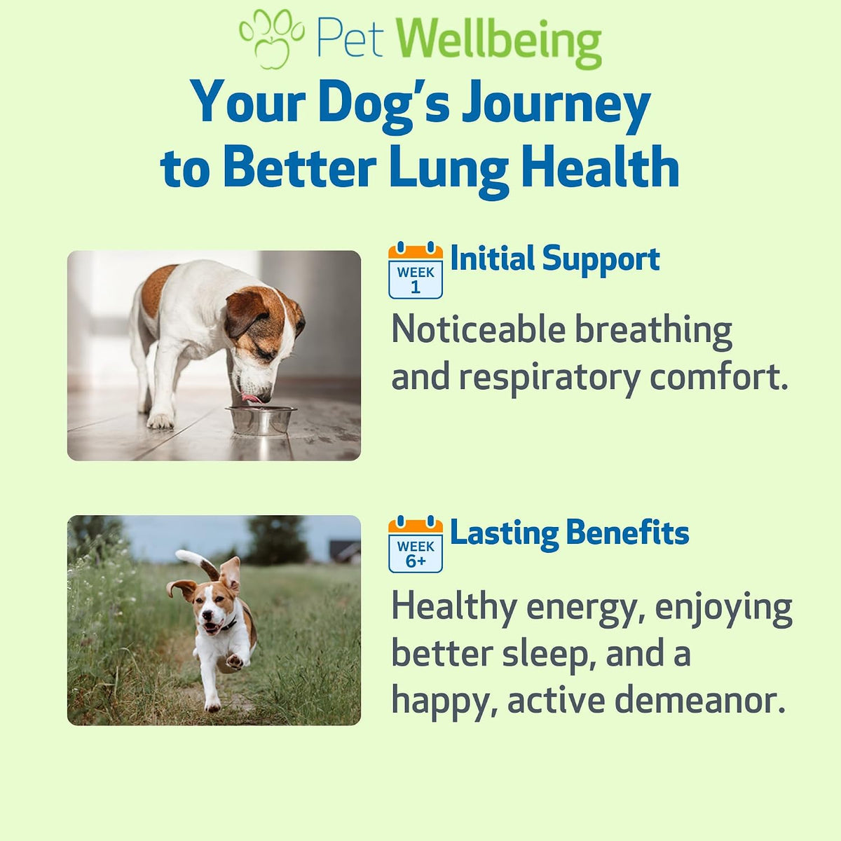Pet Wellbeing Lung Gold for Dogs – 59 ml Liquid - görsel 9