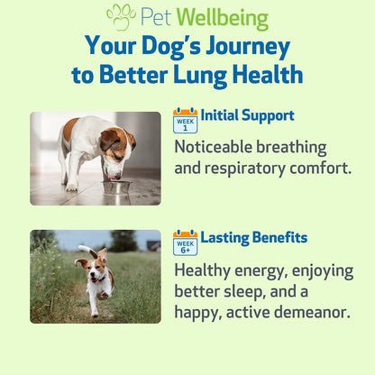 Pet Wellbeing Lung Gold for Dogs – 59 ml Liquid
