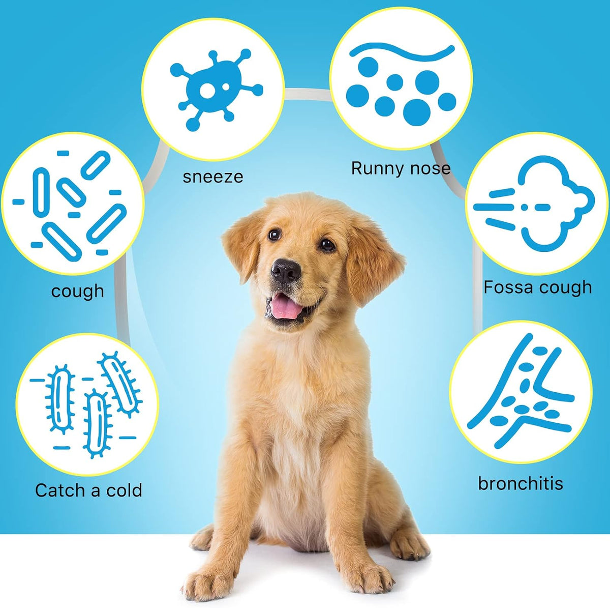 Kennel Cough Relief for Dogs - Natural Herbal Drops, 60ml - görsel 3