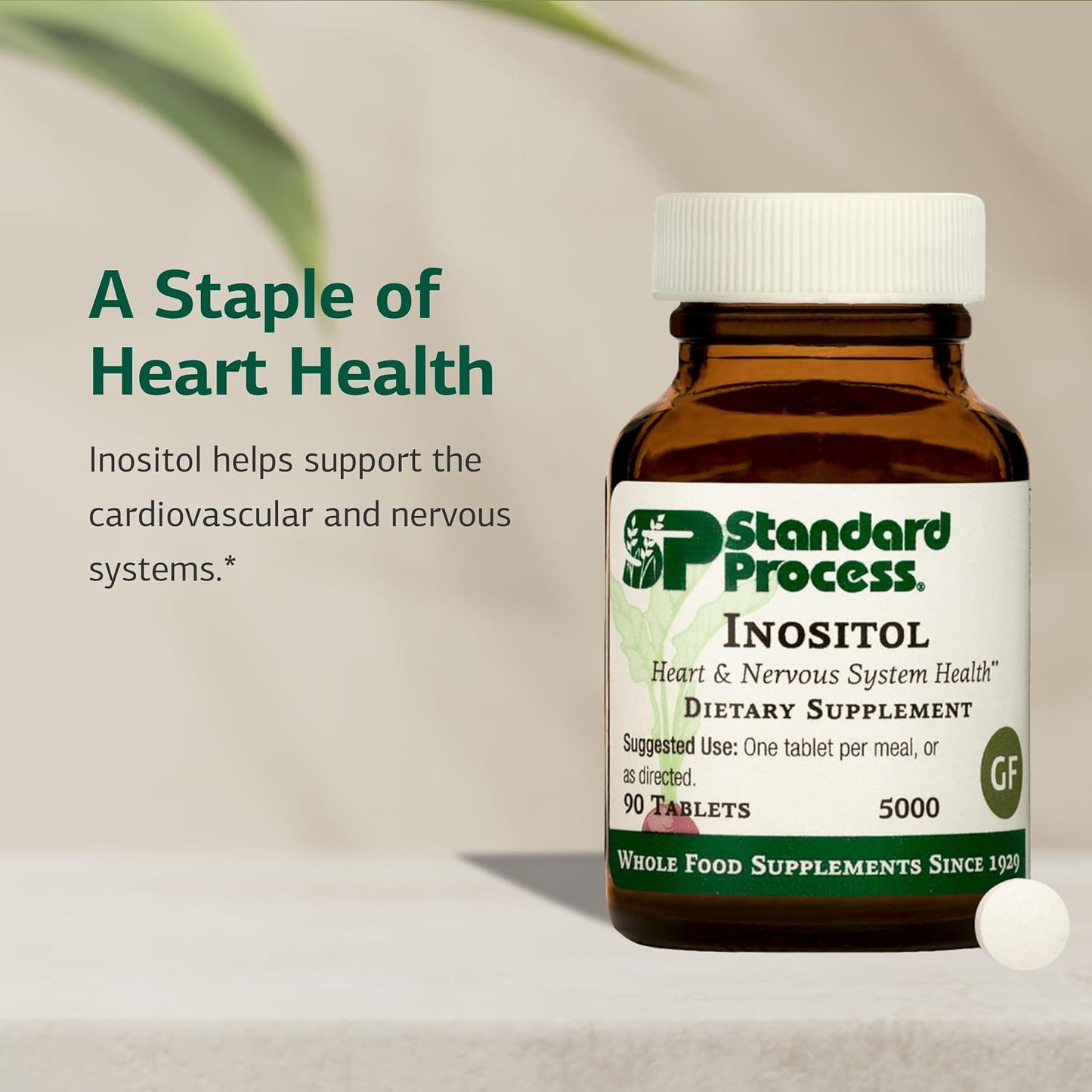 Standard Process Inositol - 90 Tablets - görsel 3