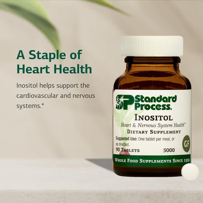 Standard Process Inositol - 90 Tablets
