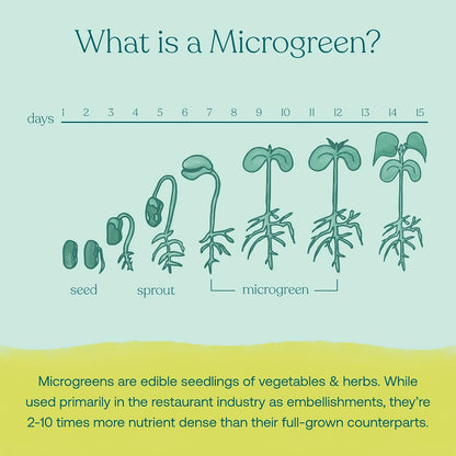 True Grace Broccoli Microgreens - Daily Superfood Powder, Regenerative Organic Certified, 11 g (30 Servings)
