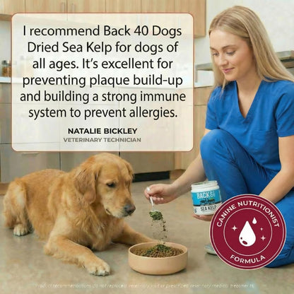 Organic Kelp Powder for Dogs, Dried Sea Kelp Supplement for Normal Thyroid Function, Dental Hygiene, Immune Support, Digestion, Skin & Coat – Iodine Rich – Multivitamin for Cats & Dogs – Made in the USA