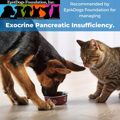 Pet Factor B-12 - Vitamin B-12 (Methylcobalamin) for Dogs - Supports EPI Management - 90 Count