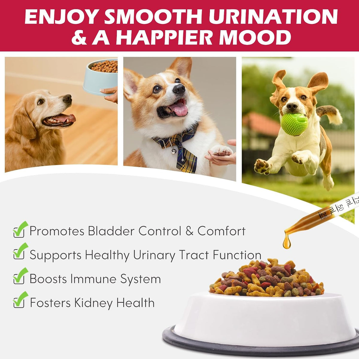 Xsvseie Dog Urinary Tract Drops - Natural Herbal Supplement with Cranberry for Bladder Health - görsel 5