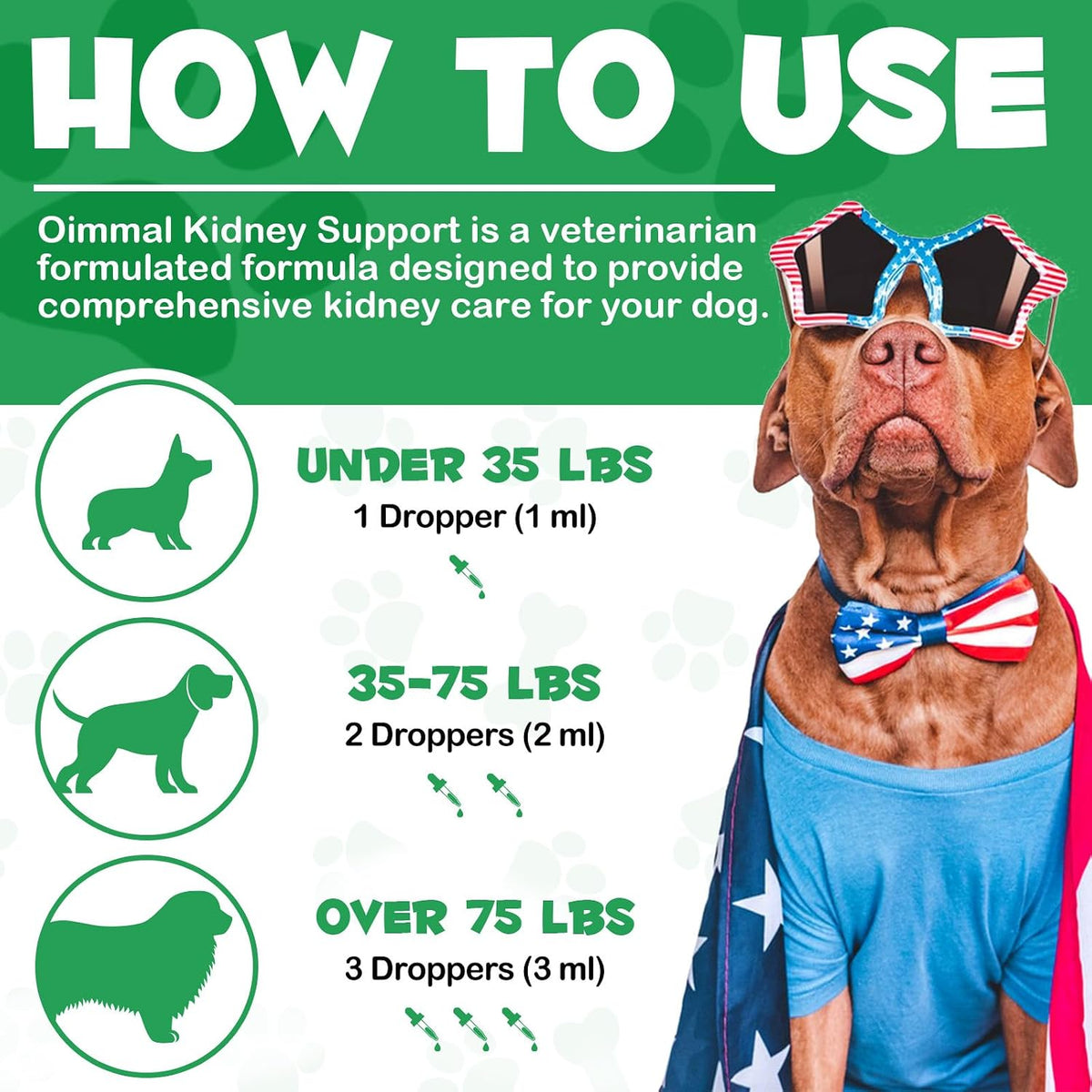 Kidney Support for Dogs - Herbal Supplement for Immune & Urinary Health (60ml) - görsel 2