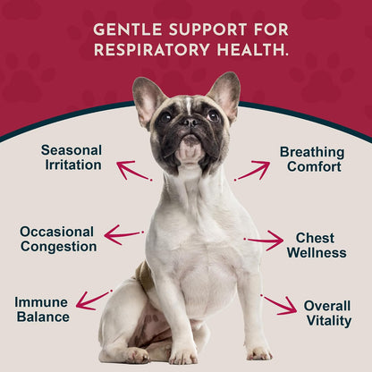 Animal Essentials Breathe EZ Herbal Supplement for Dogs & Cats, 2 fl oz (59 ml)