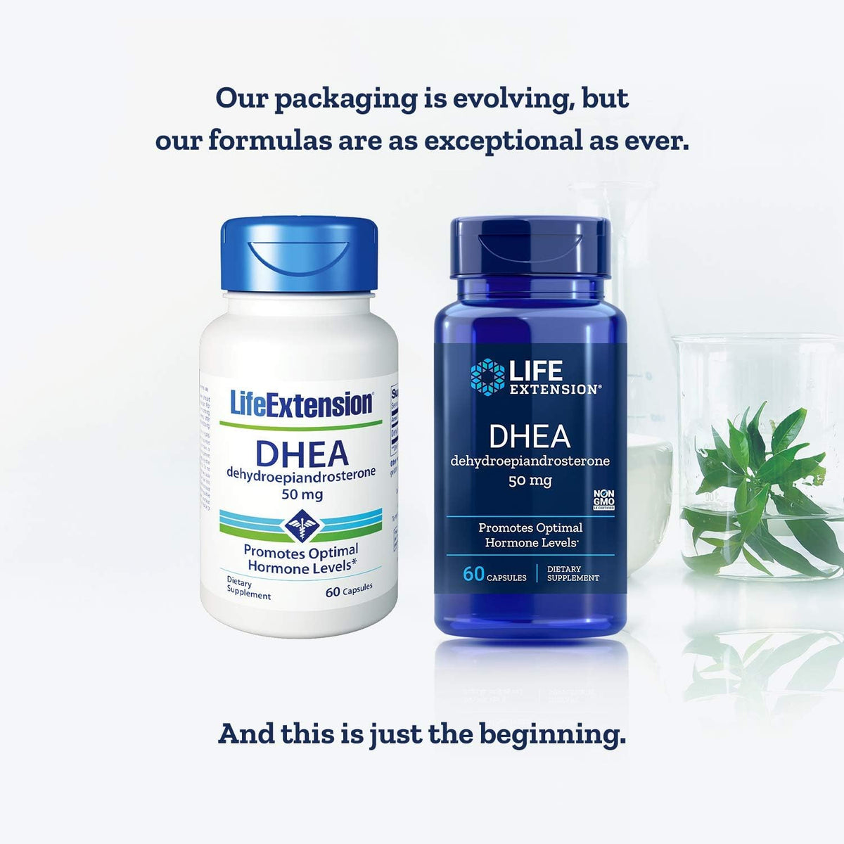Life Extension DHEA 50 mg, 60 Capsules (2 Pack) - görsel 2