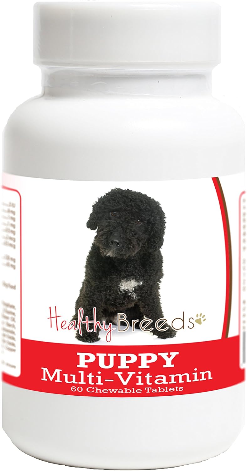 Healthy Breeds Spanish Water Dog Puppy – B-Complex Vitamins – These water-soluble vitamins (B1, B2, B6, B12, – Image 1