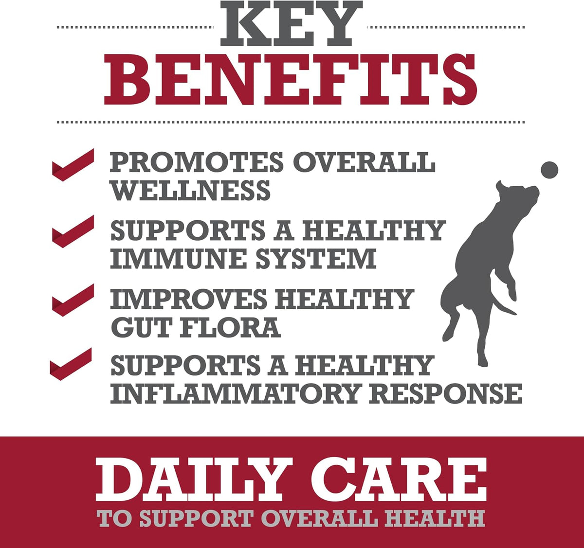 WINPRO Pet Daily Care Chews for Dogs (60 Soft Chews) - Plasma-Powered Immune Support - görsel 3