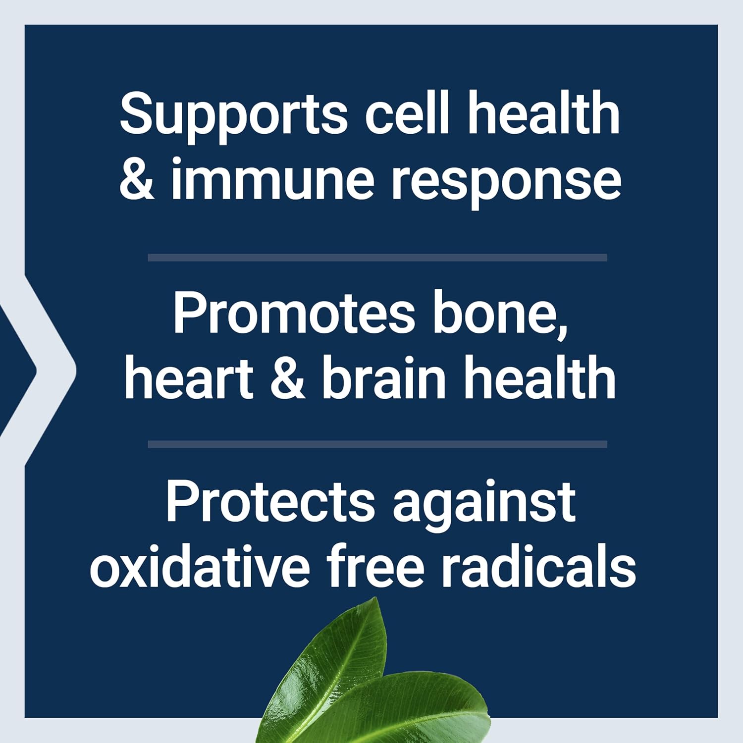 Life Extension Whole Food Multivitamin – Plant-Derived Vitamins A, B, C, D, E & Minerals – Non-GMO, Gluten-Free, Vegetarian – 90 Capsules - görsel 6