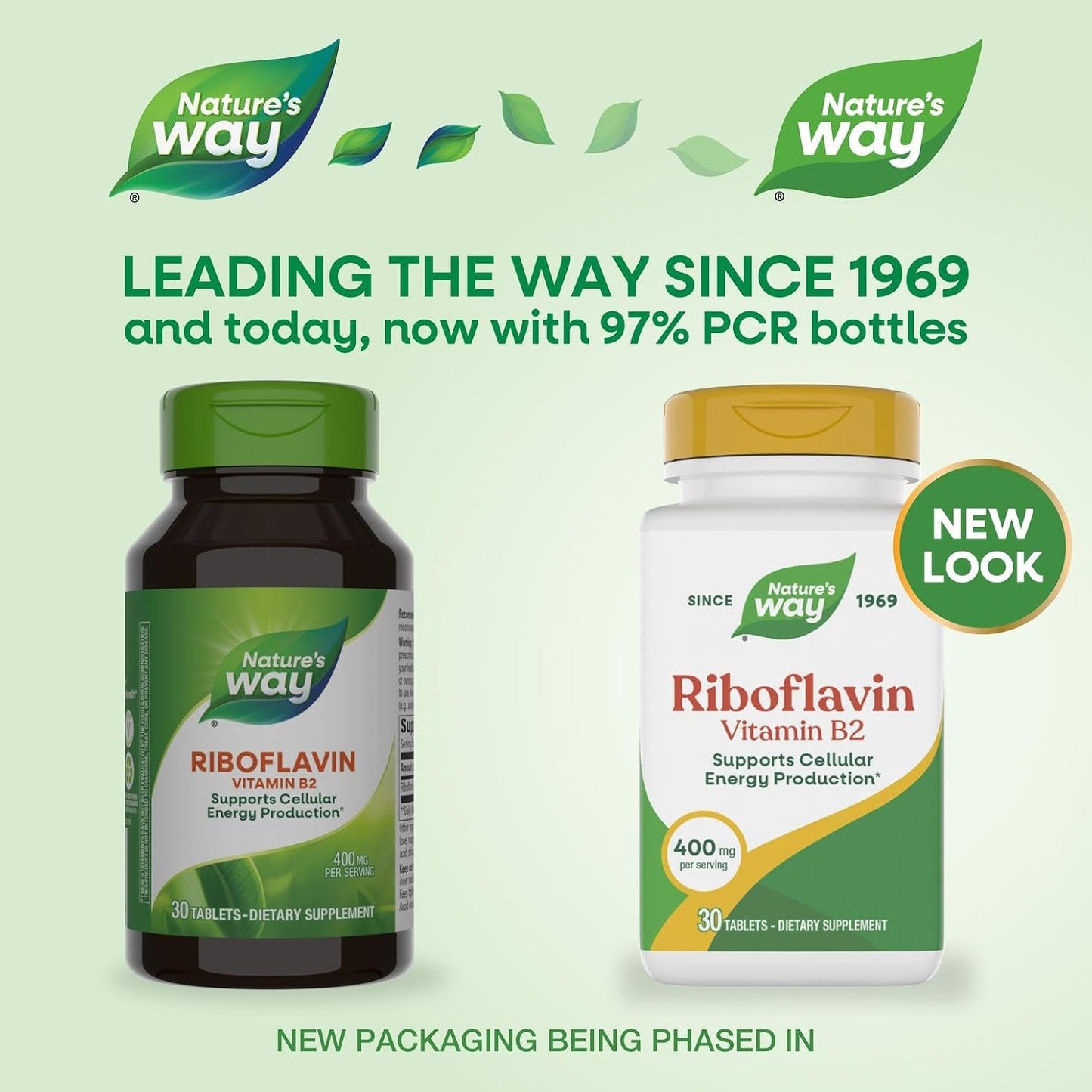 Nature's Way Enzymatic Therapy Riboflavin Vitamin B2, 400 mg - görsel 2