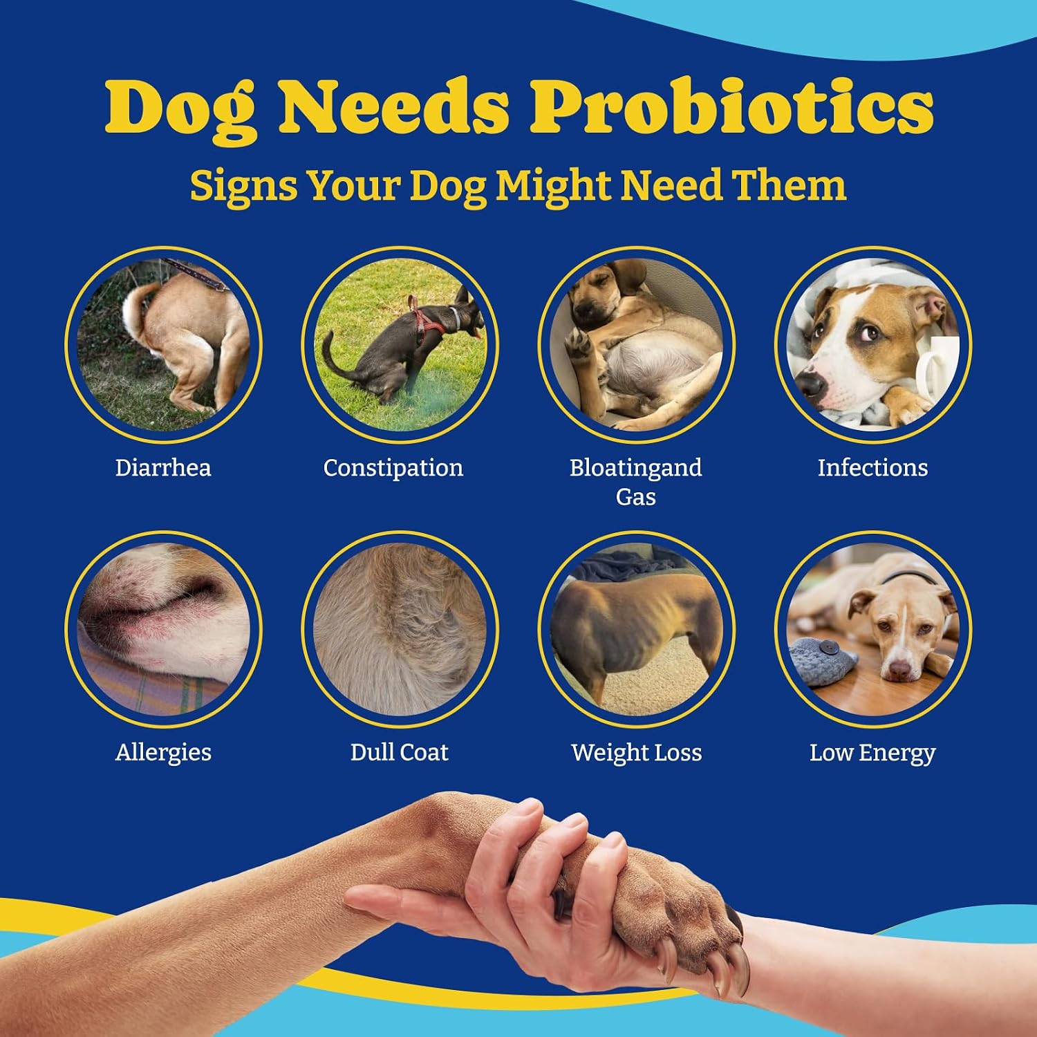 YoYoBay Probiotics for Dogs - 6 Billion CFUs with Prebiotics & Digestive Enzymes - Turkey & Pumpkin, 180 Soft Chews - görsel 6