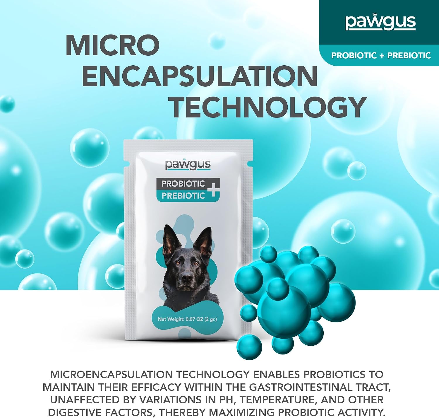 Ultimate Prebiotic and Probiotic Combo for Dogs – 30 Sachets – 7 Billion CFU - görsel 5
