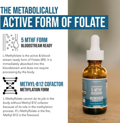 Organic L Methylfolate 7.5 mg Plus Methyl B12 Cofactor - Metabolically Active 5-MTHF Form, Superior Form of Folate - Organic Berry Flavour, Liquid Sublingual Form – Mood, Cognition, Methylation (1oz)