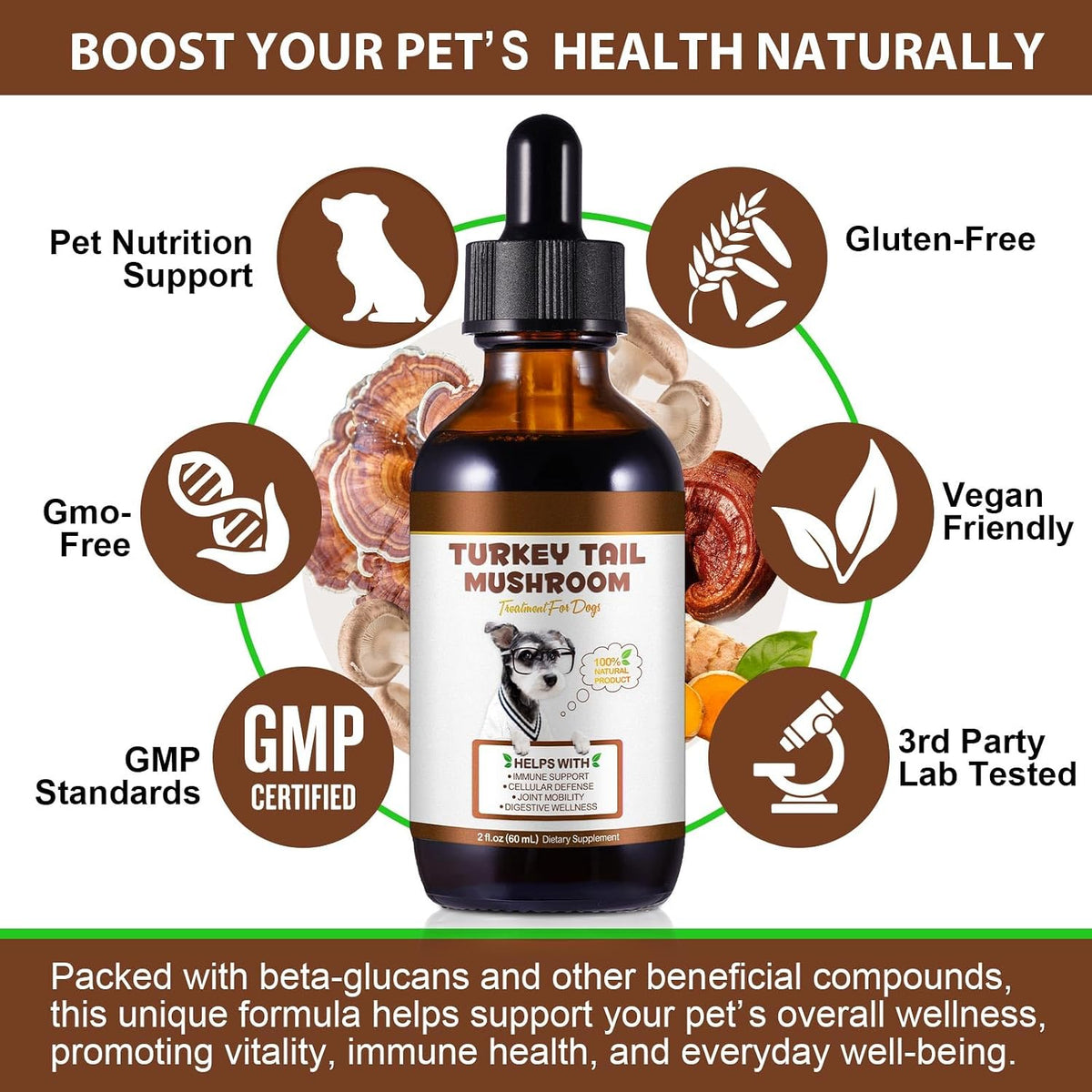 Turkey Tail Mushroom for Dogs – Fast-Absorbing Liquid Drops for Immune, Digestive and Joint Support with Turmeric & Probiotic (60ml) - görsel 2