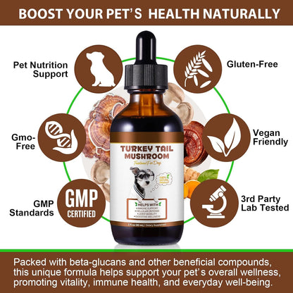 Turkey Tail Mushroom for Dogs – Fast-Absorbing Liquid Drops for Immune, Digestive and Joint Support with Turmeric & Probiotic (60ml)