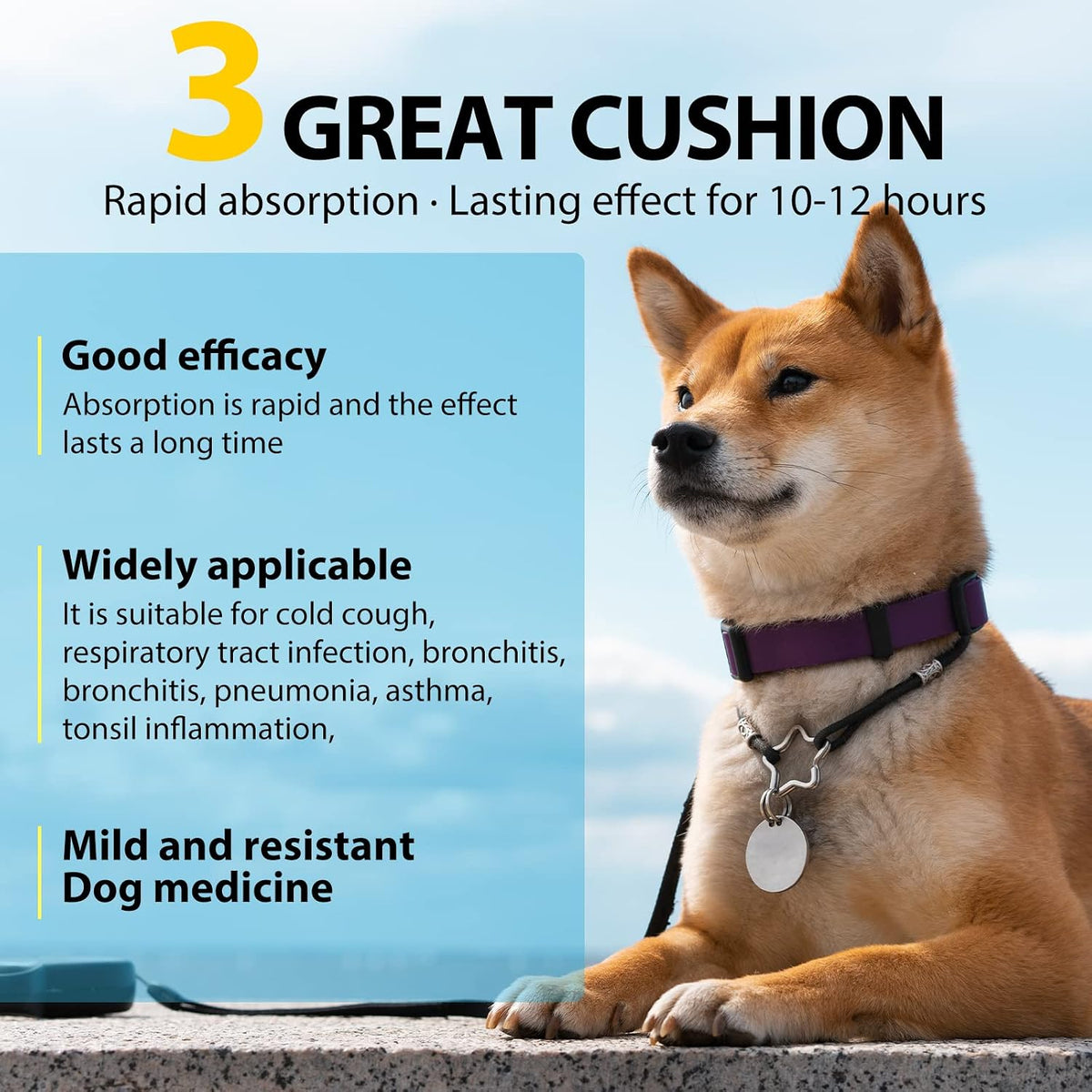Kennel Cough Relief for Dogs - Natural Herbal Drops, 60ml - görsel 7