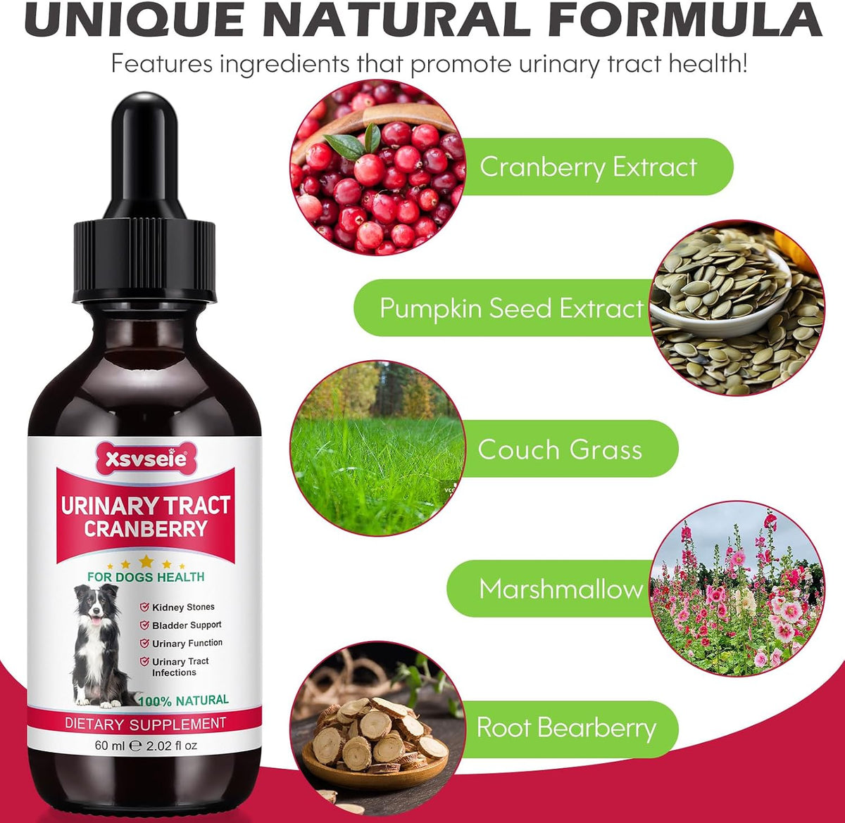 Xsvseie Dog Urinary Tract Drops - Natural Herbal Supplement with Cranberry for Bladder Health - görsel 3