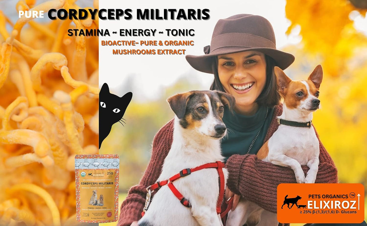 Cordyceps Mushroom Extract for Dogs & Cats – 25%+ Beta Glucans – Fruiting Body (8:1–12:1 Concentrated) – Energy, Stamina & Vitality Support – No Fillers – 250 Servings - görsel 7